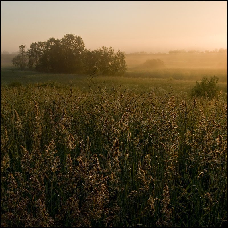 Золотой восходphoto preview