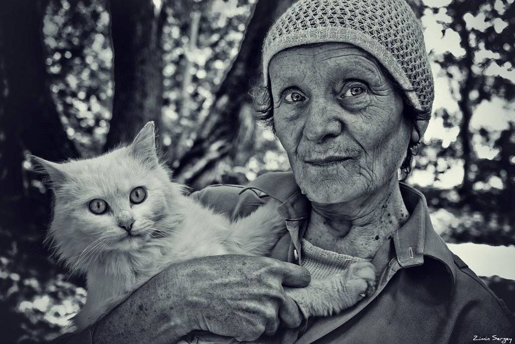 , Сергей Зимин