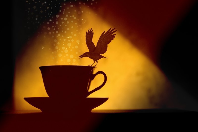 Рoisonphoto preview