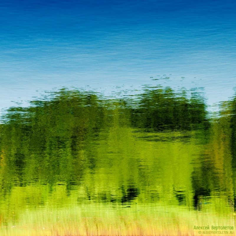 небо, лес, камыш, алексей вертолетов Б/нphoto preview