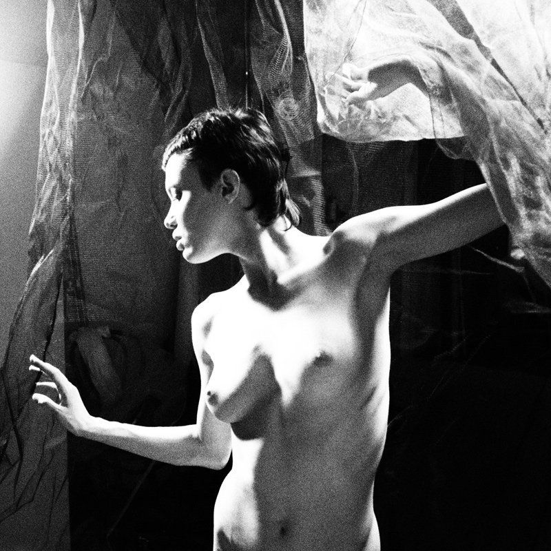 4292679photo preview