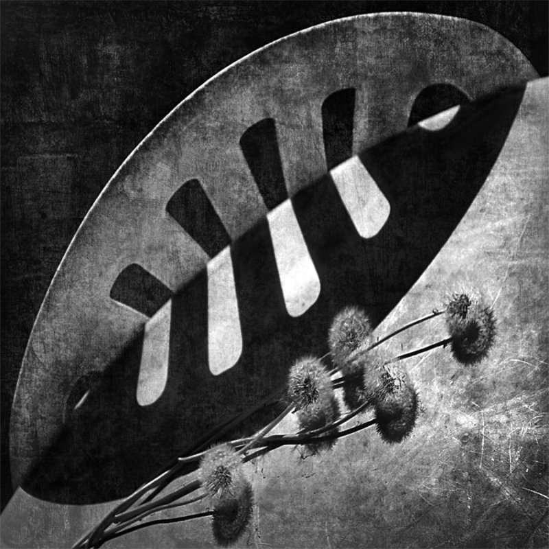 Reincarnations of Shadowsphoto preview