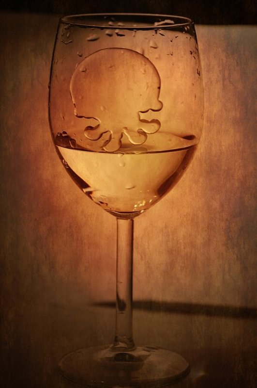 Медузаphoto preview