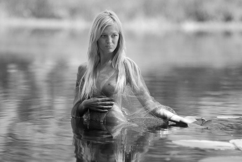 sirеnephoto preview