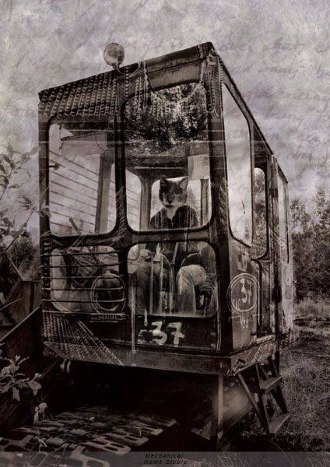 сны, Сборщик