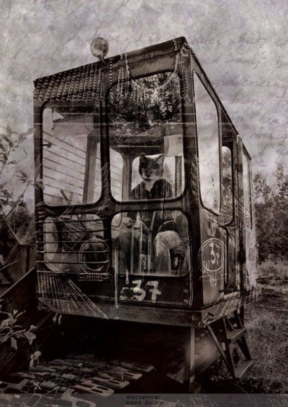 сны сонphoto preview