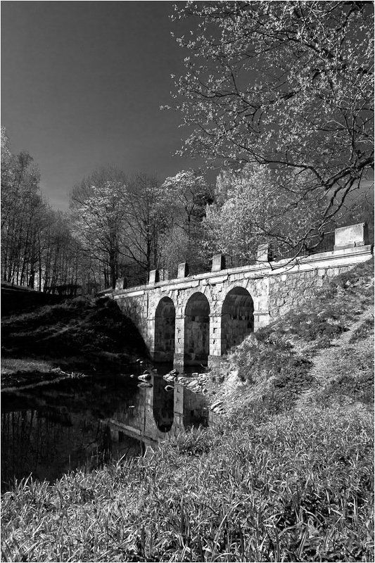 ораниенбаум,парк,петроффский,мост Мостикphoto preview