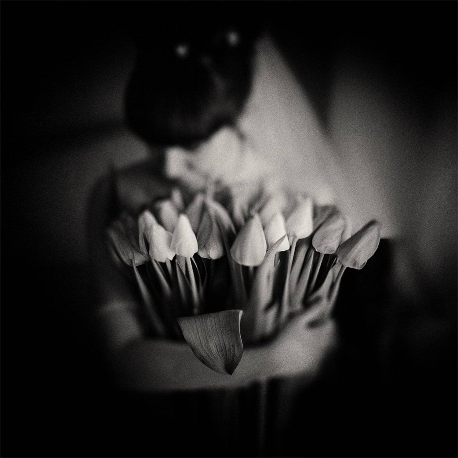 bride. Автор: Alexander Mikhailenko , Alexander Mikhailenko