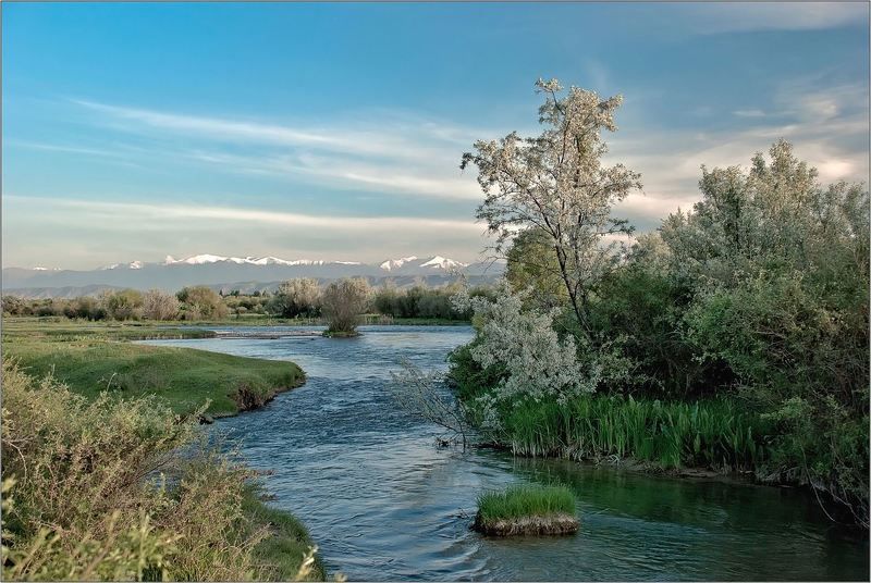 природа photo preview