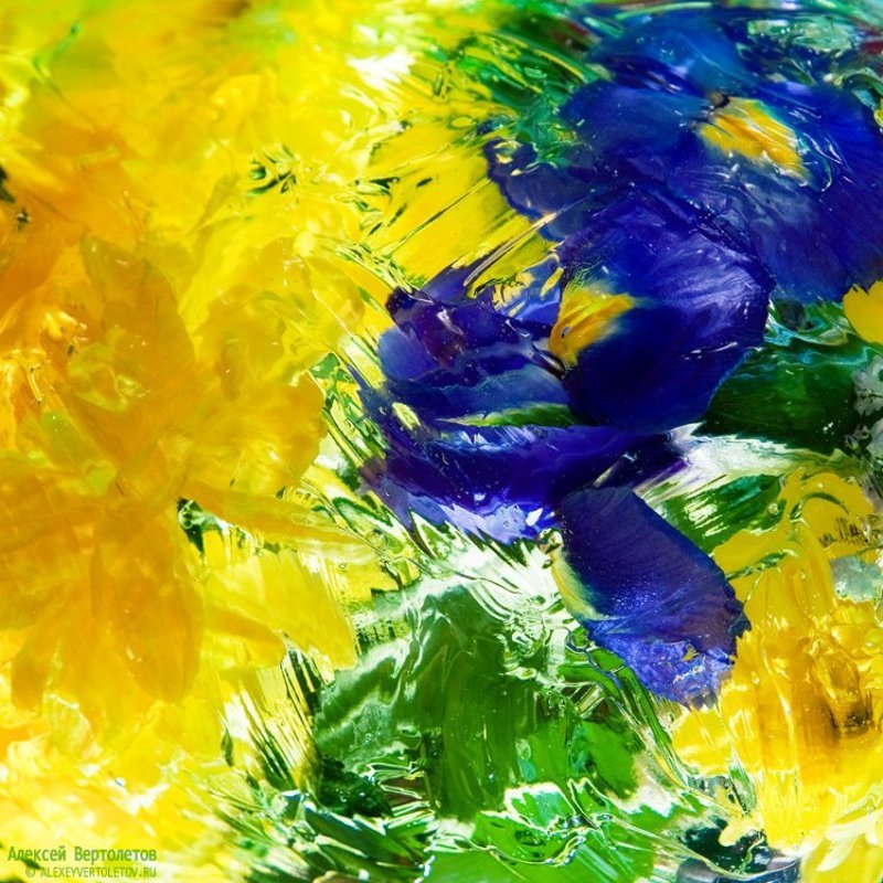 алексей вертолетов, акварель, цветы photo preview