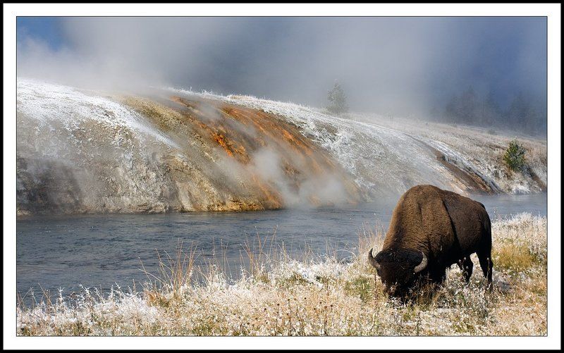 йеллоустоун, парк, национальный, сша photo preview