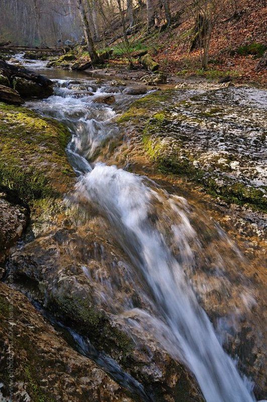 бурульча photo preview