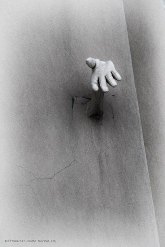 руки, фасады ладони домовphoto preview