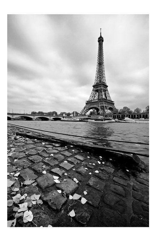 seine, river, city, autumn, eiffel, tower, paris La Princesse lointainephoto preview