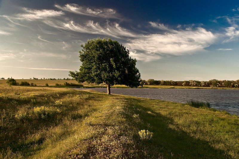 На косогоре.photo preview