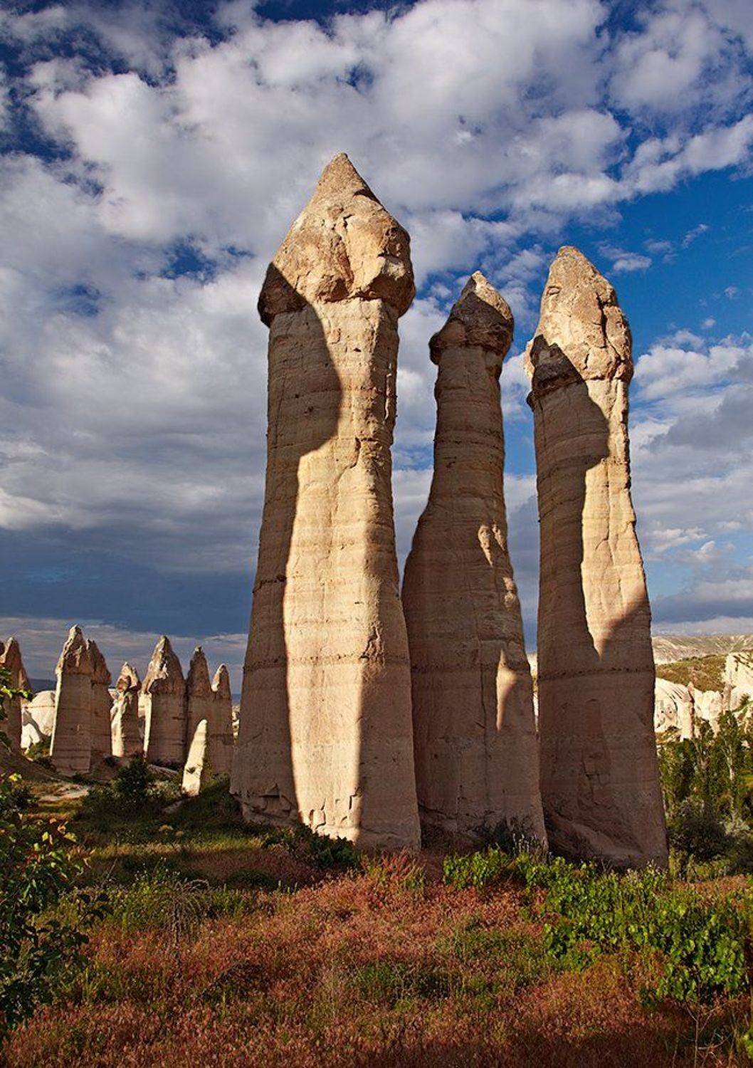 Про весёлку обыкновенную (Phallus impudicus). Автор: Ne Horoshiy обыкновенная, весёлка, Ne Horoshiy