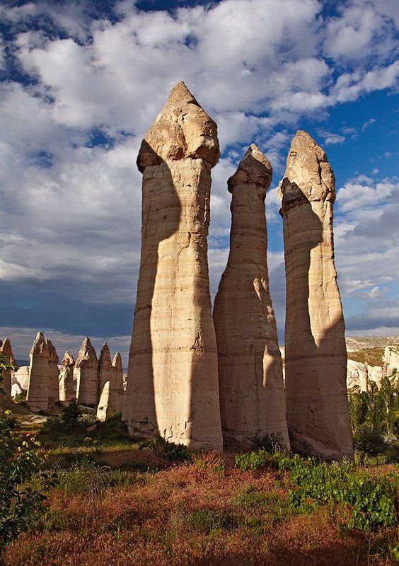 обыкновенная, весёлка Про весёлку обыкновенную (Phallus impudicus)photo preview