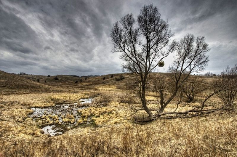 пейзаж, панорама, природа, canon400d photo preview