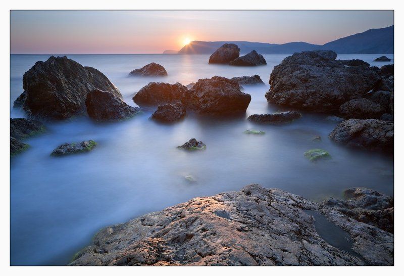 крым, инжир photo preview