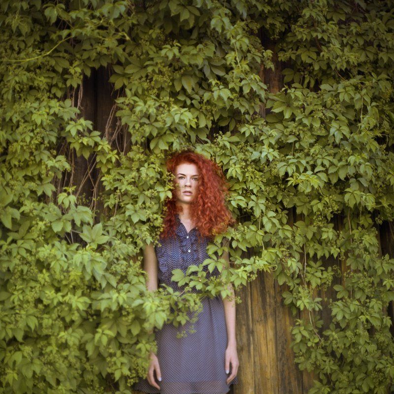 6x6, portrait photo preview