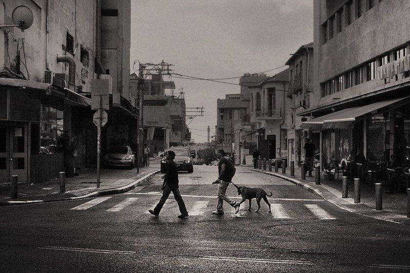 tlv, город  фото превью