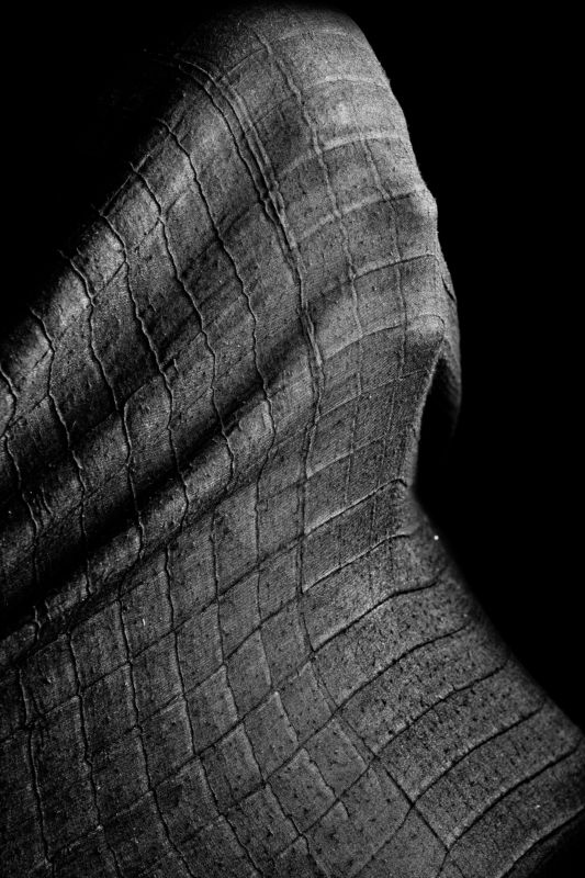 #PORTRAIT #veil #women veilphoto preview