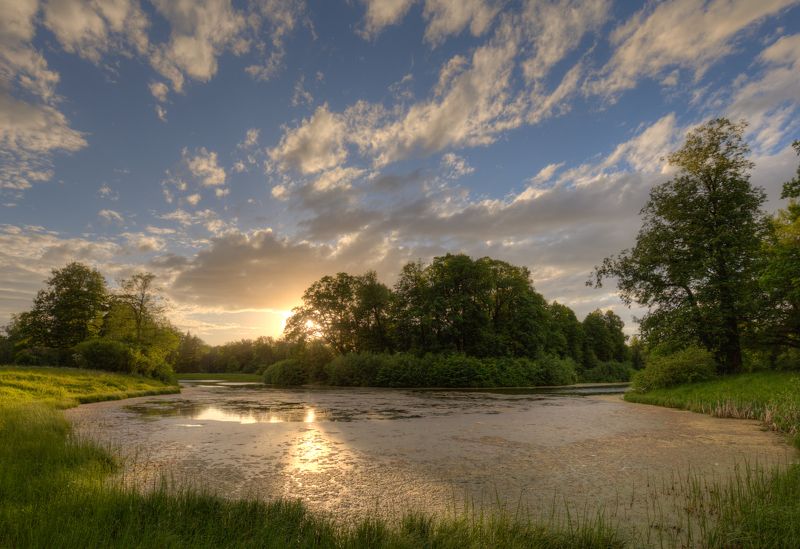 пруд, тина, павловск, санкт-петербург Затянуло бурой тиной, гладь старинного прудаphoto preview