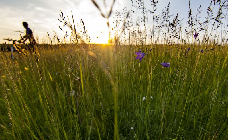 урал, пермский край, лысьва, закат Закат на велосипедеphoto preview