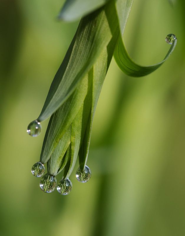 В подвешенном состоянииphoto preview