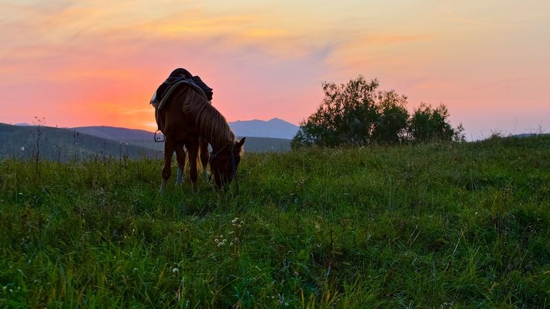Алтайский край. фото превью