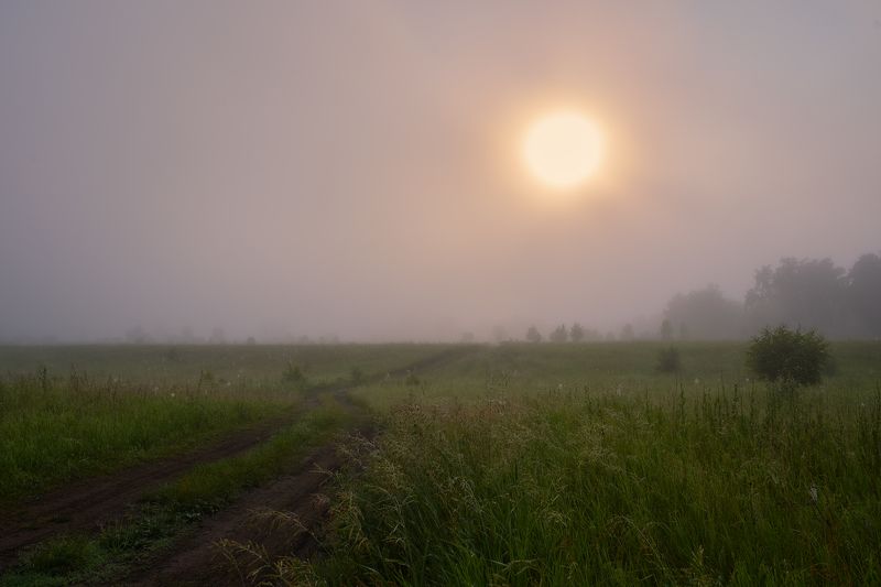 утреннее солнце,рассвет,туман,роса,дорога в степи, я знаю, как проехать к солнцу...photo preview