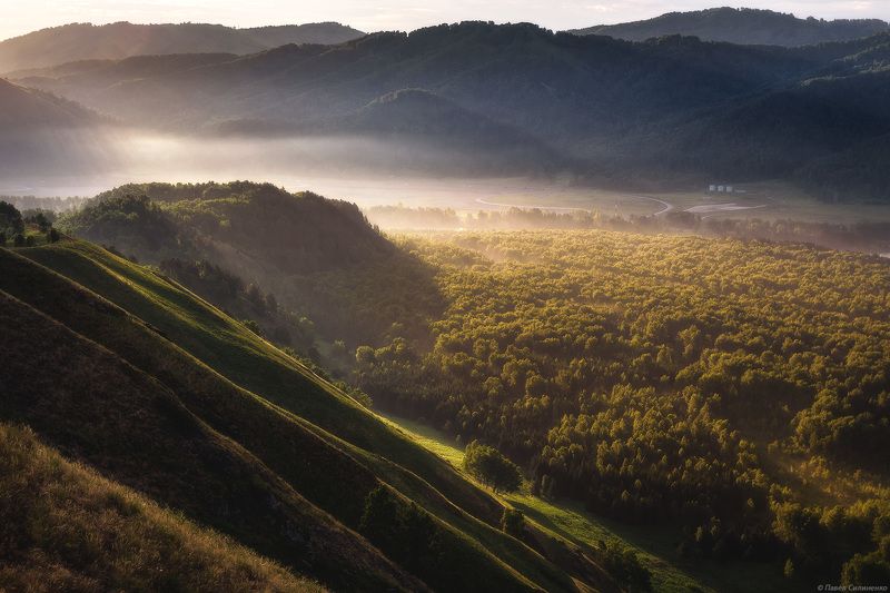 Алтай, пейзаж, утро, свет, горы, лето, Катунь, лес Ая фото превью