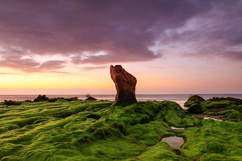 Stone with mossphoto preview