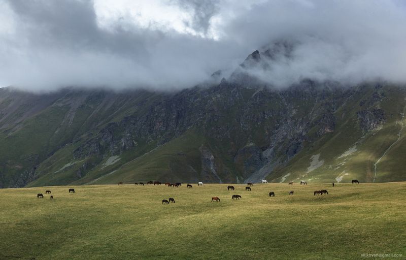 Архызские пейзажиphoto preview