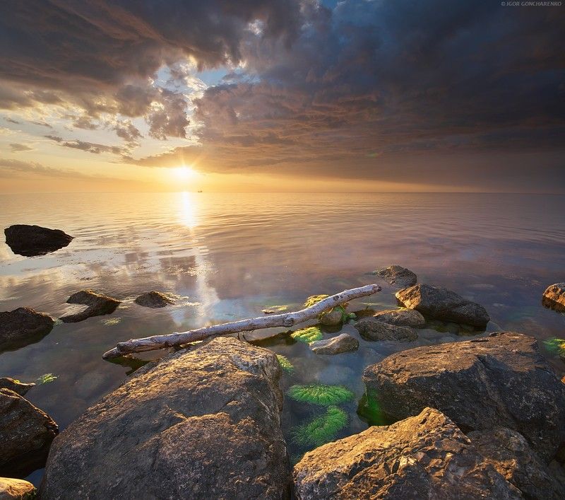 моер закат камни коряга крым Спокойствие photo preview