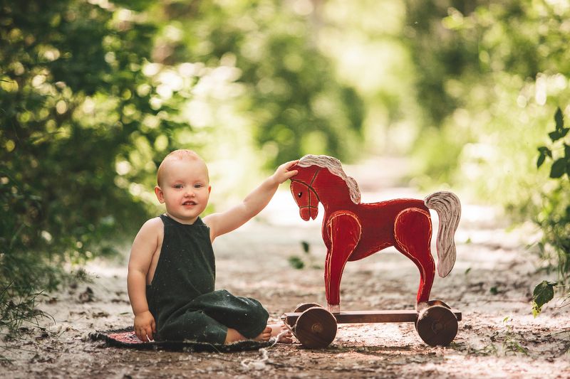 Моя маленькая лошадкаphoto preview