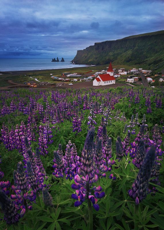 Вик, деревня у вулканаphoto preview