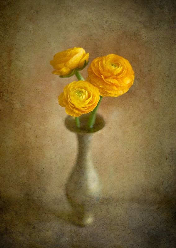 лютик, лютики, букет, желтые, в вазе, цветы, подарок, ретро, текстура, стилизация Желтые лютикиphoto preview