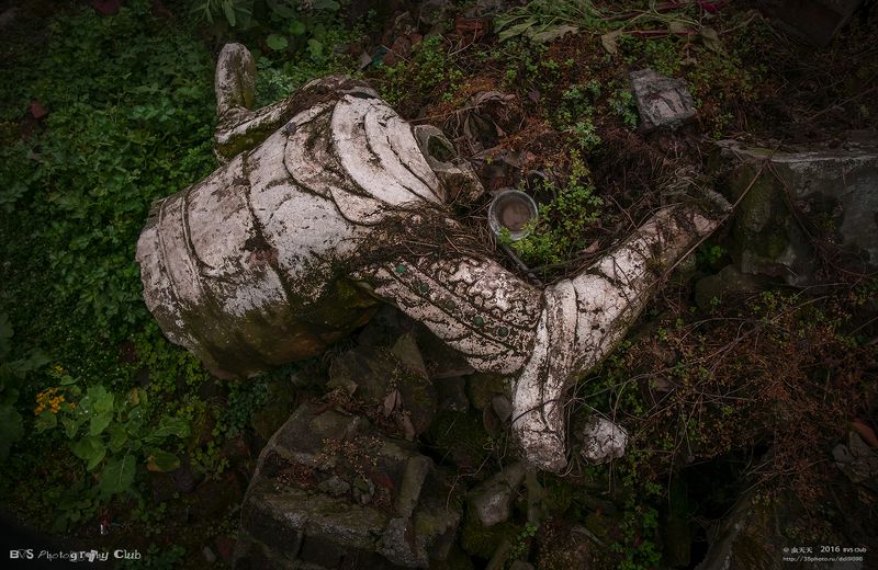 Stump Buddha 残佛photo preview