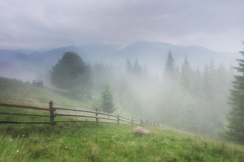 украина карпаты дземброня туман Дземброняphoto preview