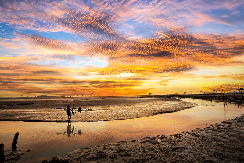 Dong Chauphoto preview