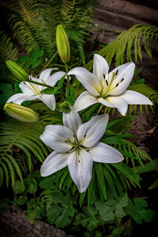 у моего окнаphoto preview