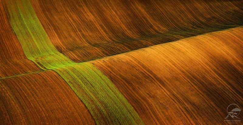 пейзаж, природа, поле, моравия, чехия Открытая книга фото превью