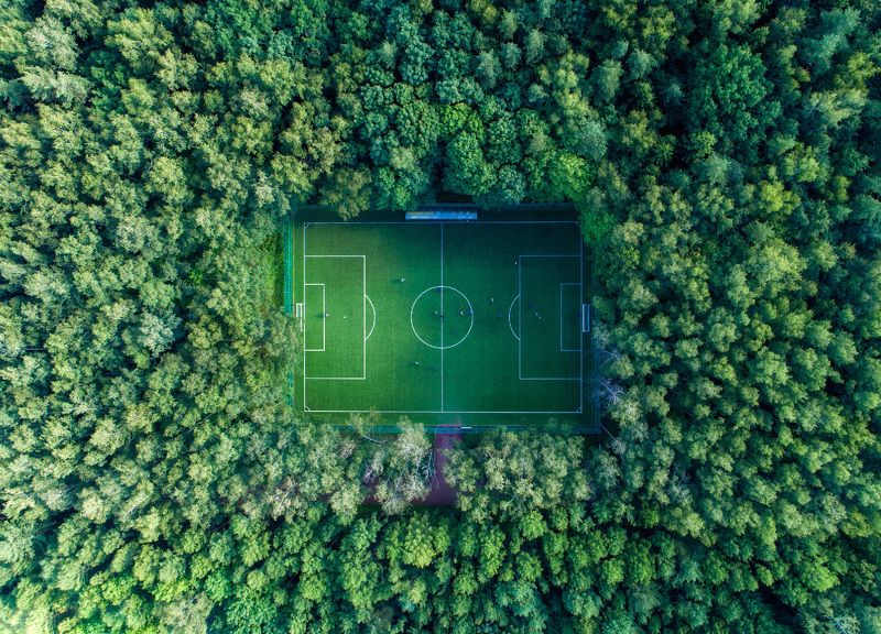 football, forest, nature Hidden footballphoto preview