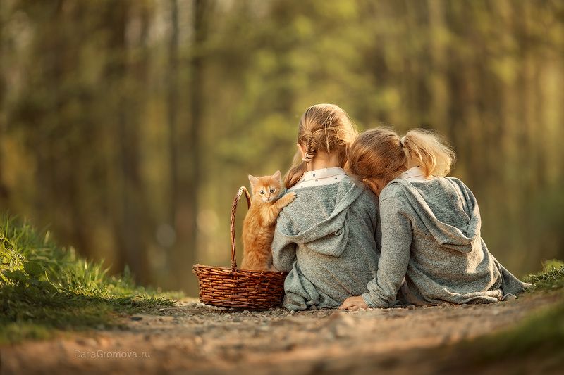 боке, натюрморт, дарья громова, фотография, фото, фотоарт, фотограф, закат, портрет, детский портрет, дети, ребенок, котенок, парк Три другаphoto preview