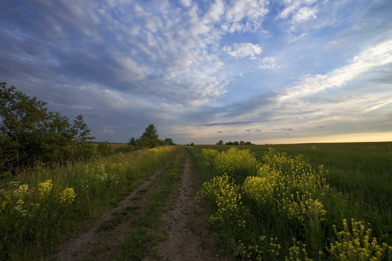 Полевая дорога.. Автор: Александр Нагибин , Александр Нагибин