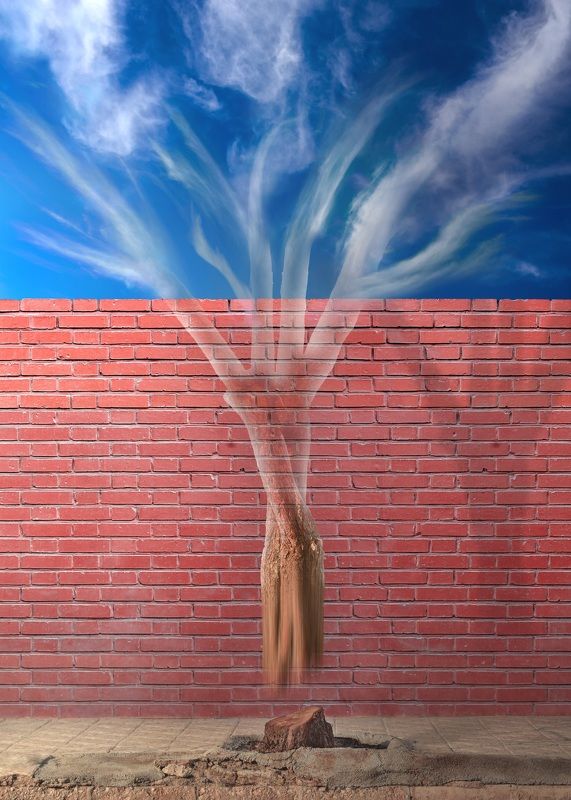 The ghost of treephoto preview