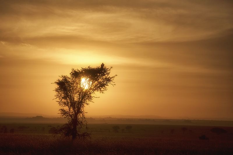 Ночной дозорphoto preview