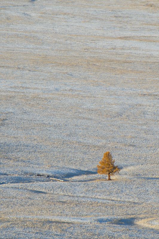 Один в поле photo preview