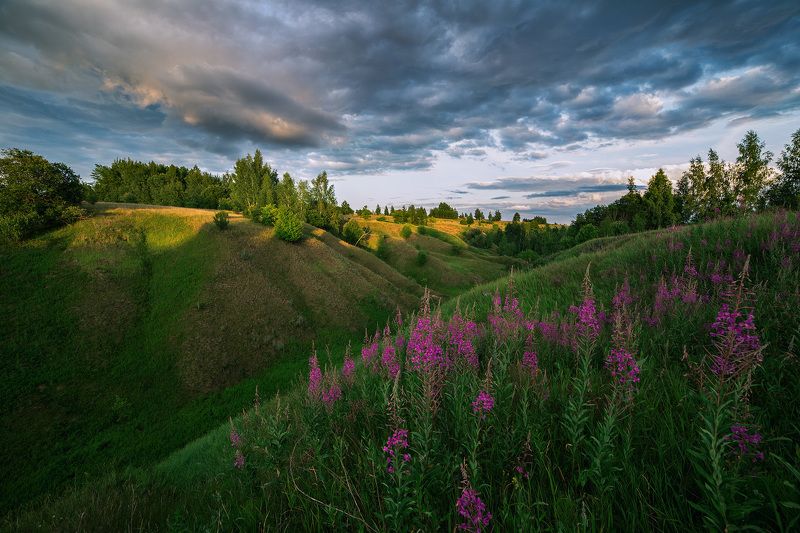 пейзаж, иванчай, закат, samyang Иван-чайphoto preview